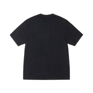 Rasta Lion Stussy T Shirt