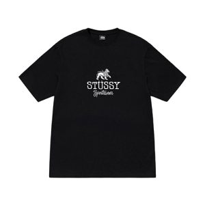 Sportswear Black StussyT Shirt